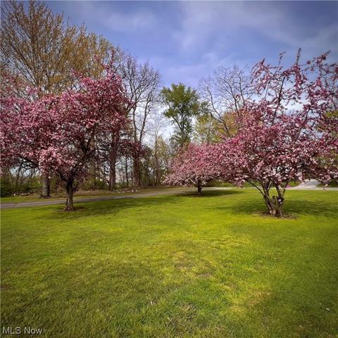 8911 Nichols Rd, Windham, OH 44288 photo 5