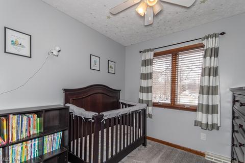 6173 Brambleside Ln, Mentor, OH 44060 photo 17