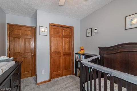 6173 Brambleside Ln, Mentor, OH 44060 photo 18