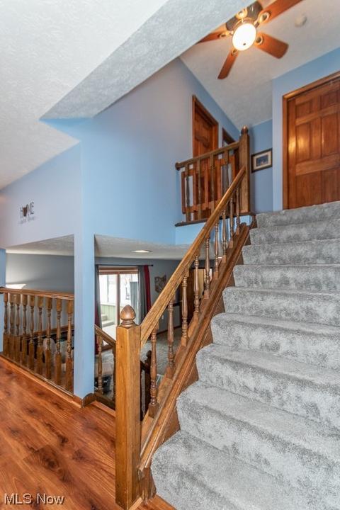 6173 Brambleside Ln, Mentor, OH 44060 photo 10