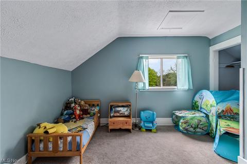 663 Wright Ave, Alliance, OH 44601 photo 19