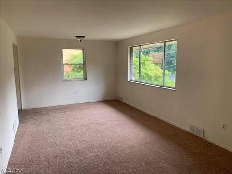 449 Dresden Ave, Steubenville, OH 43952 photo 10
