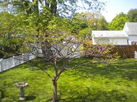 261 Fifield Ave, Conneaut, OH 44030 photo 11