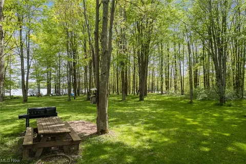 17815 Burrows Rd, Thompson, OH 44086 photo 8