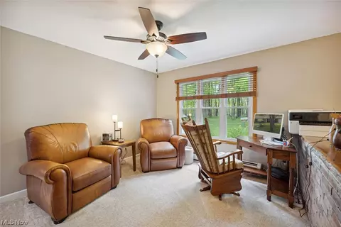 17815 Burrows Rd, Thompson, OH 44086 photo 18