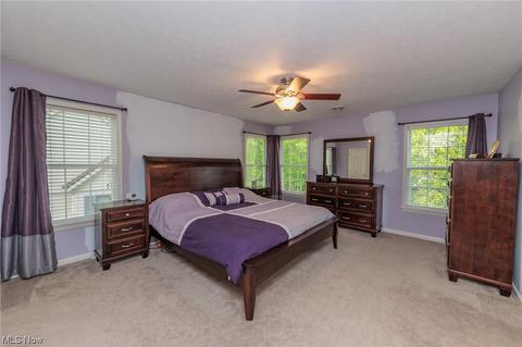 4840 Pheasant Dr, Lorain, OH 44053 photo 24