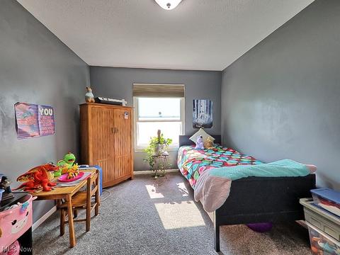 124 Fallingwater Dr, Elyria, OH 44035 photo 18