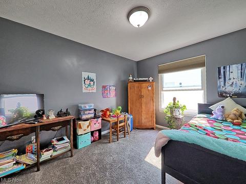 124 Fallingwater Dr, Elyria, OH 44035 photo 19
