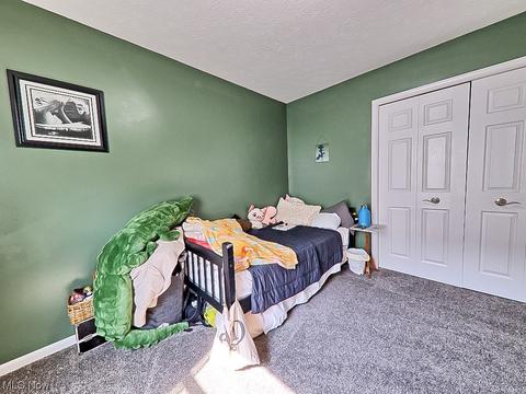 124 Fallingwater Dr, Elyria, OH 44035 photo 22
