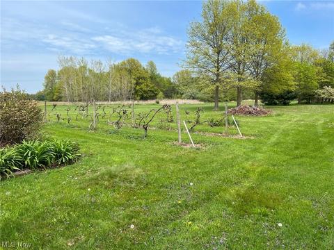 4375 Case Rd, Avon, OH 44011 photo 35