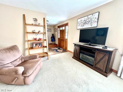 4375 Case Rd, Avon, OH 44011 photo 9