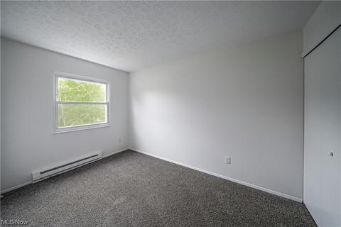 9017 Store Dr, Windham, OH 44288 photo 20