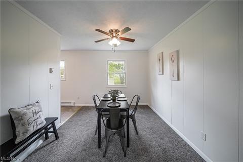 9017 Store Dr, Windham, OH 44288 photo 12