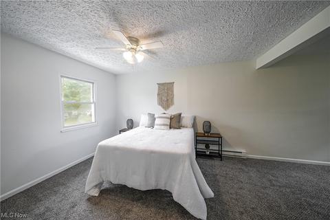 9017 Store Dr, Windham, OH 44288 photo 25