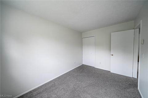9017 Store Dr, Windham, OH 44288 photo 22
