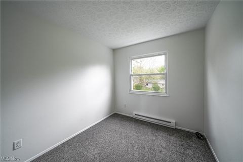 9017 Store Dr, Windham, OH 44288 photo 23