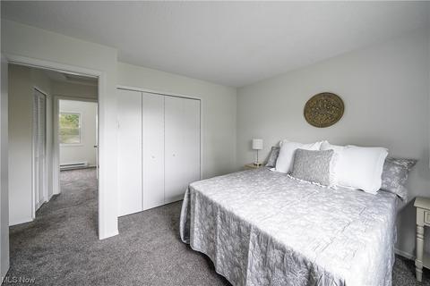 9017 Store Dr, Windham, OH 44288 photo 19