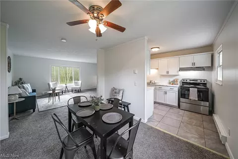 9017 Store Dr, Windham, OH 44288 photo 13