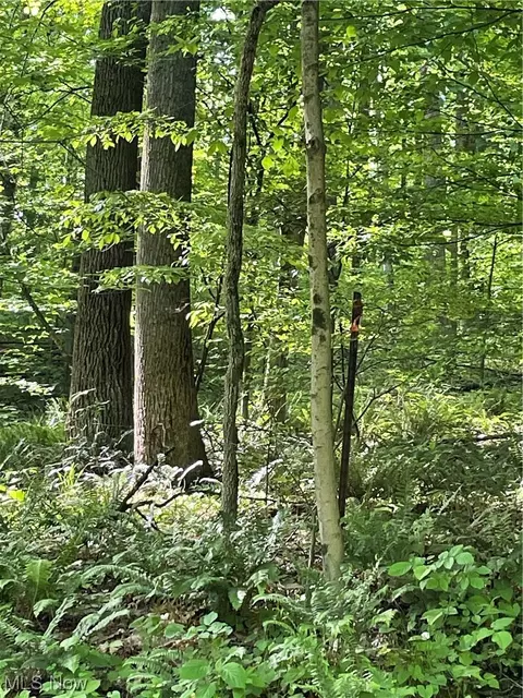 County Rd 425, Fresno, OH 43824