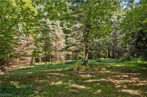 736 E Hines Hill Rd, Hudson, OH 44236 photo 29