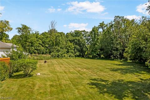 808 E Waterloo Rd, Akron, OH 44306 photo 28