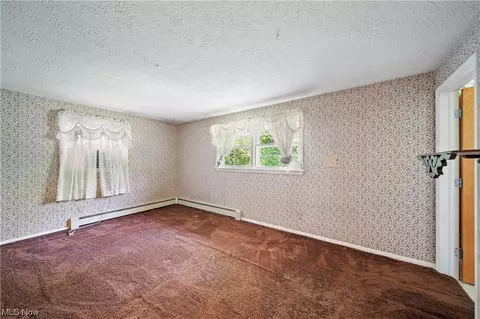 26 E Cedar St, Jefferson, OH 44047 photo 16