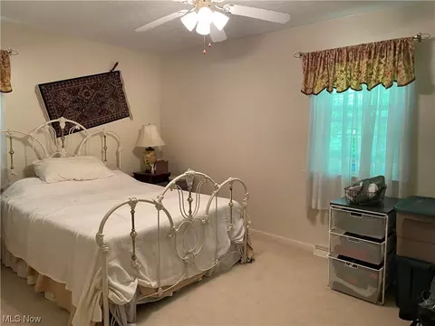 4001 Carpenter Rd, Saybrook, OH 44004 photo 13