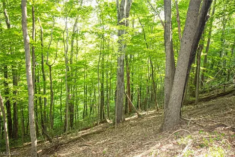 0 Eddy Ridge Rd, Wingett Run, OH 45789