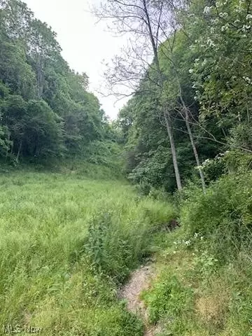 Sarchets Run Road, Cambridge, OH 43725