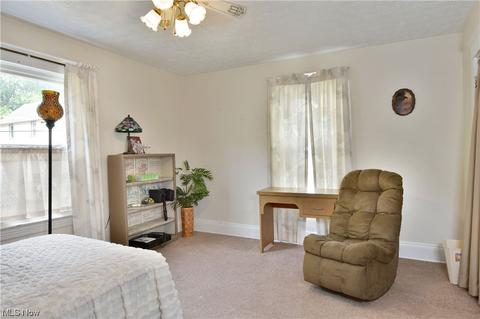 48 Wilhelm St, Struthers, OH 44471 photo 24