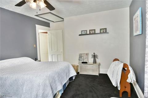 48 Wilhelm St, Struthers, OH 44471 photo 22