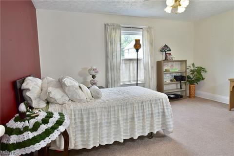 48 Wilhelm St, Struthers, OH 44471 photo 23