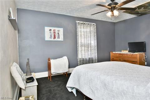 48 Wilhelm St, Struthers, OH 44471 photo 18