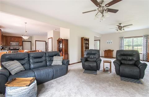 15075 Apple Blossom Trl, Beloit, OH 44609 photo 13