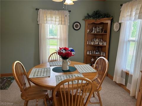 5093 Leon Rd, Andover, OH 44003 photo 19