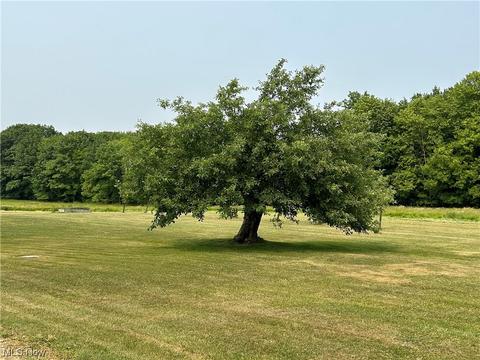 5093 Leon Rd, Andover, OH 44003 photo 6