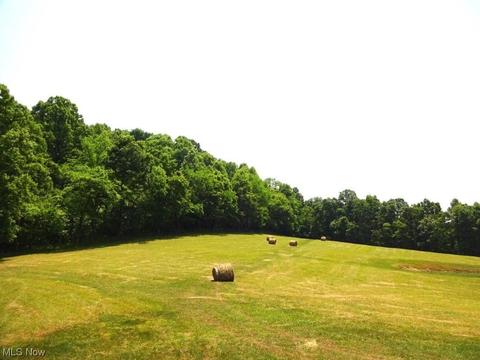 582 Tariff Rd, Left Hand, WV 25251 photo 33