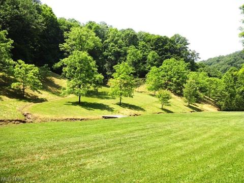 582 Tariff Rd, Left Hand, WV 25251 photo 31