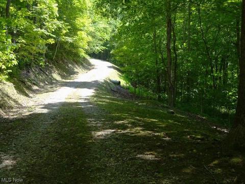 582 Tariff Rd, Left Hand, WV 25251 photo 32