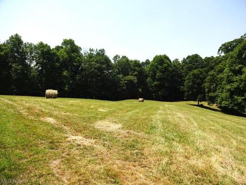 582 Tariff Rd, Left Hand, WV 25251 photo 34