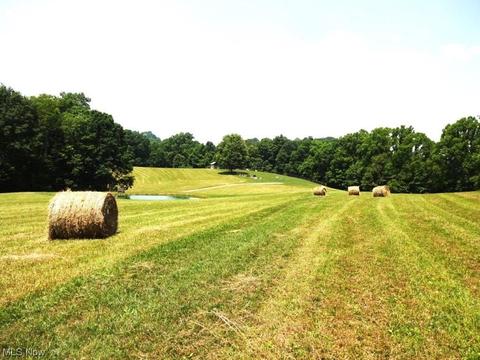 582 Tariff Rd, Left Hand, WV 25251 photo 35