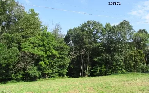 72 Gregg Avenue, Bloomingdale, OH 43910