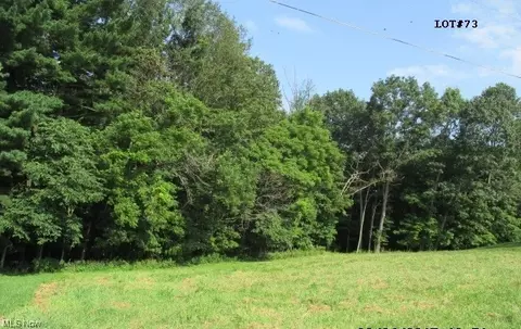 73 Gregg Avenue, Bloomingdale, OH 43910