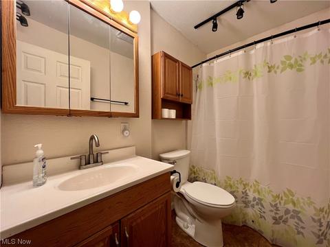 514 Summit Ave, Niles, OH 44446 photo 11
