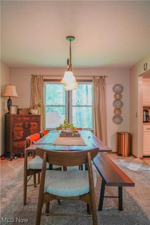 10471 E River Rd, Elyria, OH 44035 photo 8