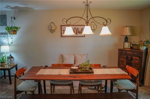 10471 E River Rd, Elyria, OH 44035 photo 14