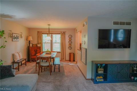 10471 E River Rd, Elyria, OH 44035 photo 7
