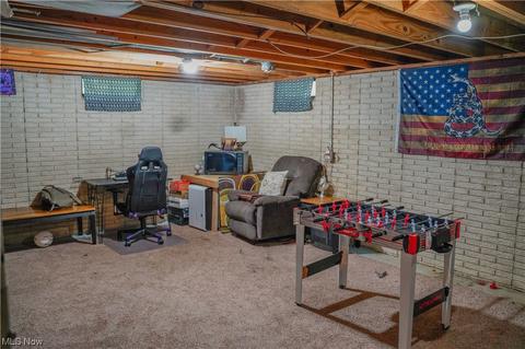 10471 E River Rd, Elyria, OH 44035 photo 25