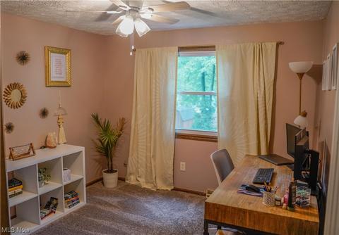 10471 E River Rd, Elyria, OH 44035 photo 29