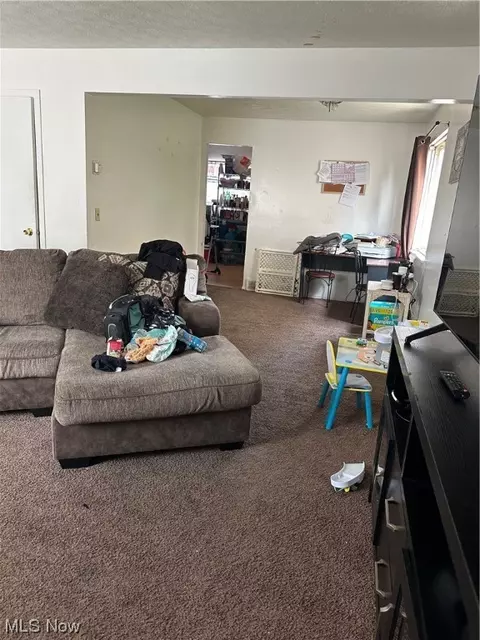 941 E 250th St, Euclid, OH 44132 photo 22